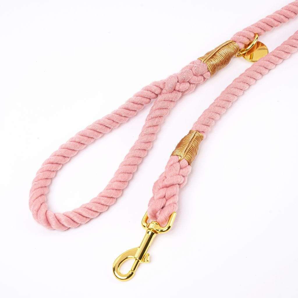 Rope Dog Leash | Coral Pink - Barker &amp; Bone 