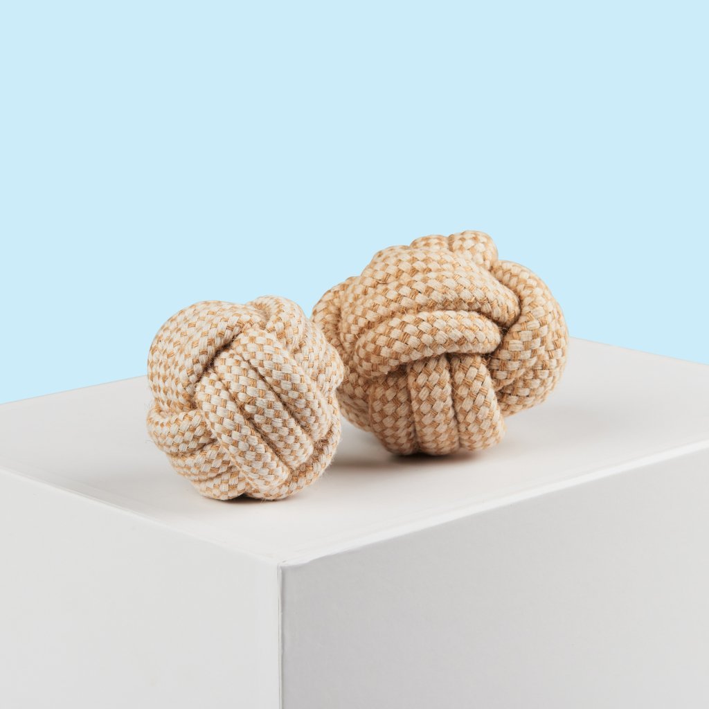 Dog Toy | Ball 1 Barker & Bone